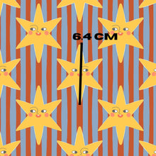 Load image into Gallery viewer, Retro star stripes