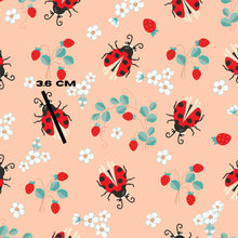 Load image into Gallery viewer, Ladybug