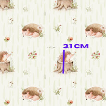 Load image into Gallery viewer, Small Hedgehog