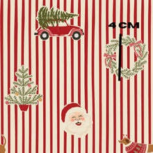 Load image into Gallery viewer, Thin stripe jolly