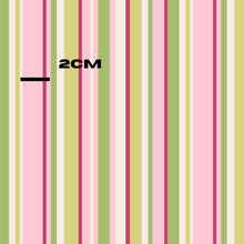 Load image into Gallery viewer, Green pink stripes