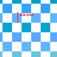 Load image into Gallery viewer, Winter checks