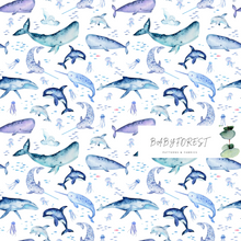 Load image into Gallery viewer, Whale