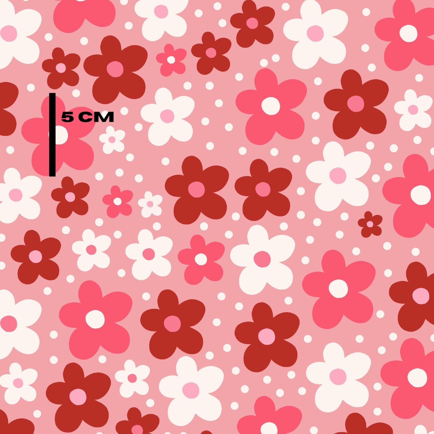 Cherry coloured daisy