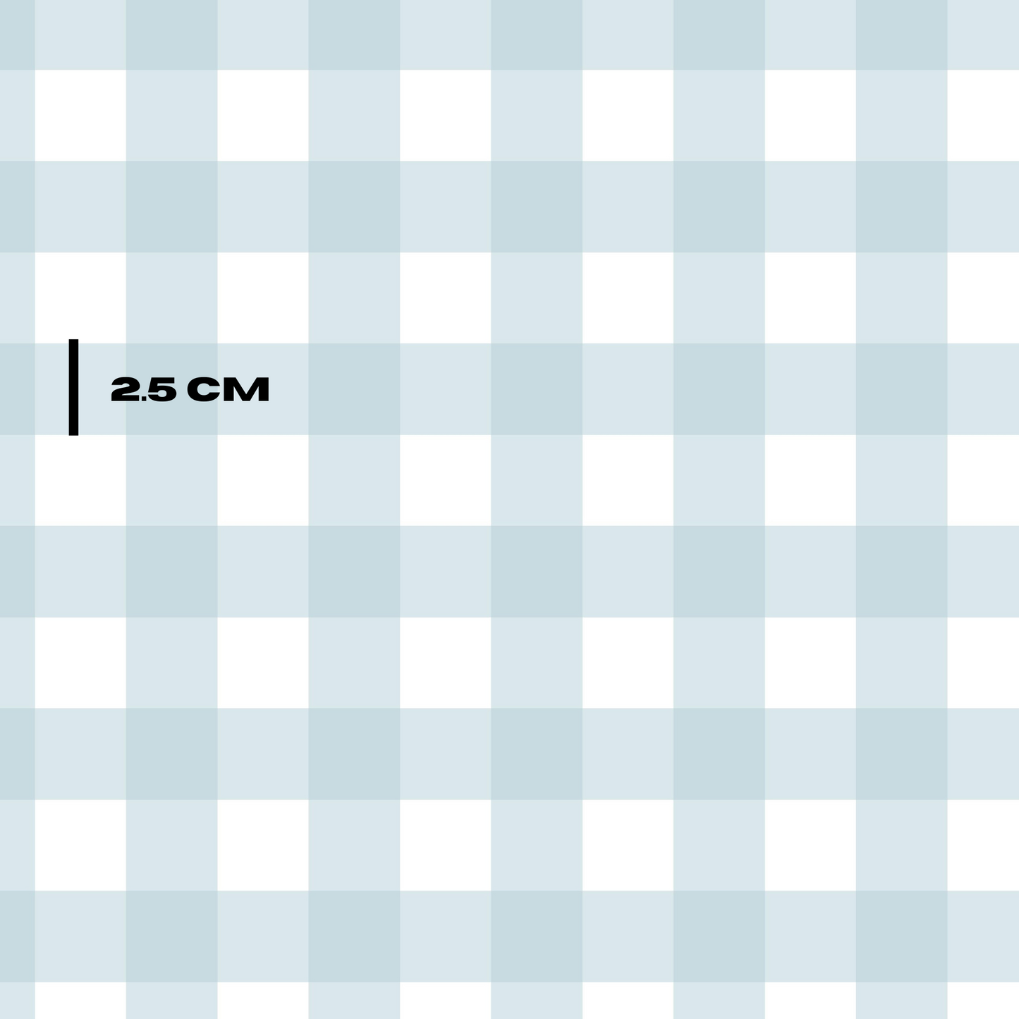 Blue Gingham