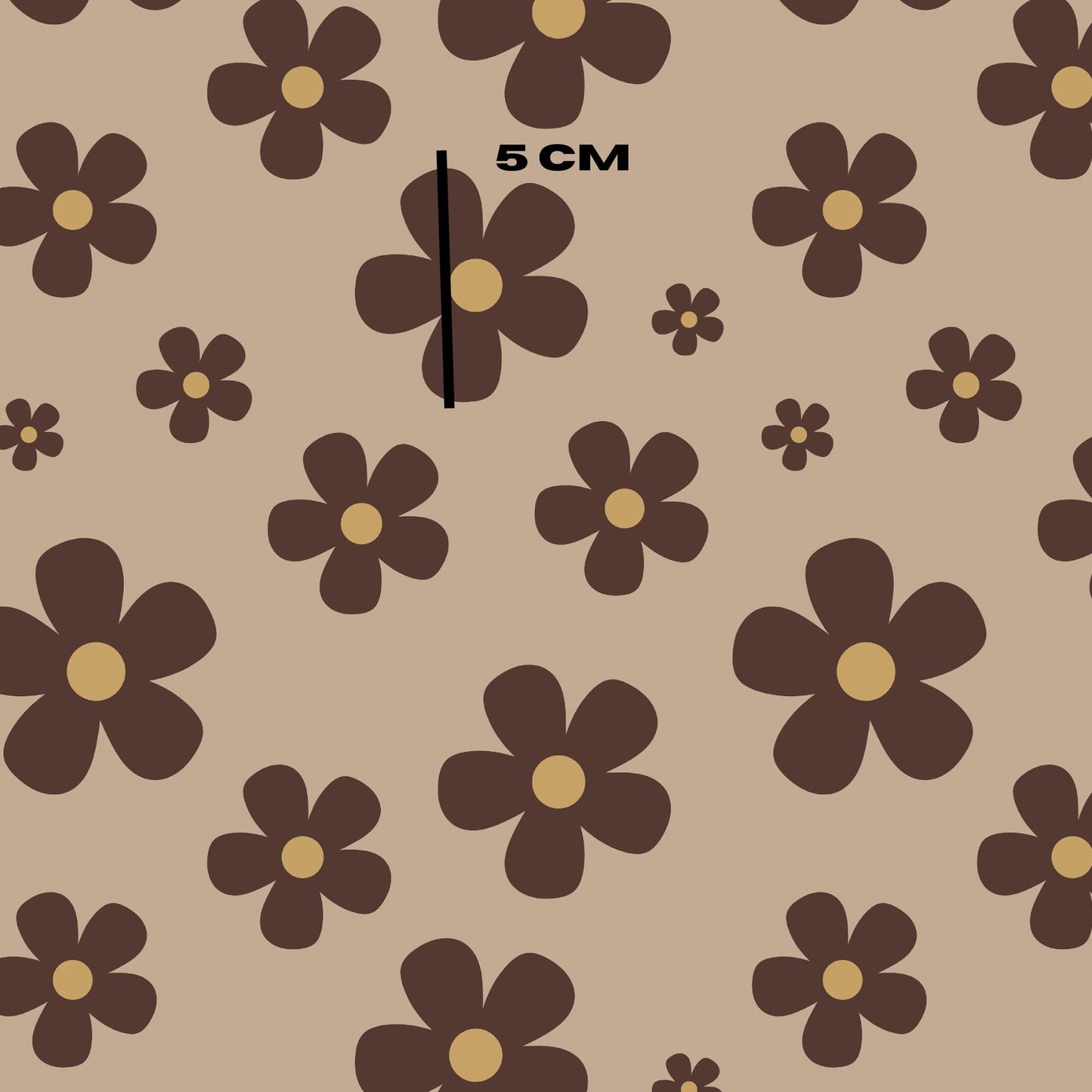 Brown daisy
