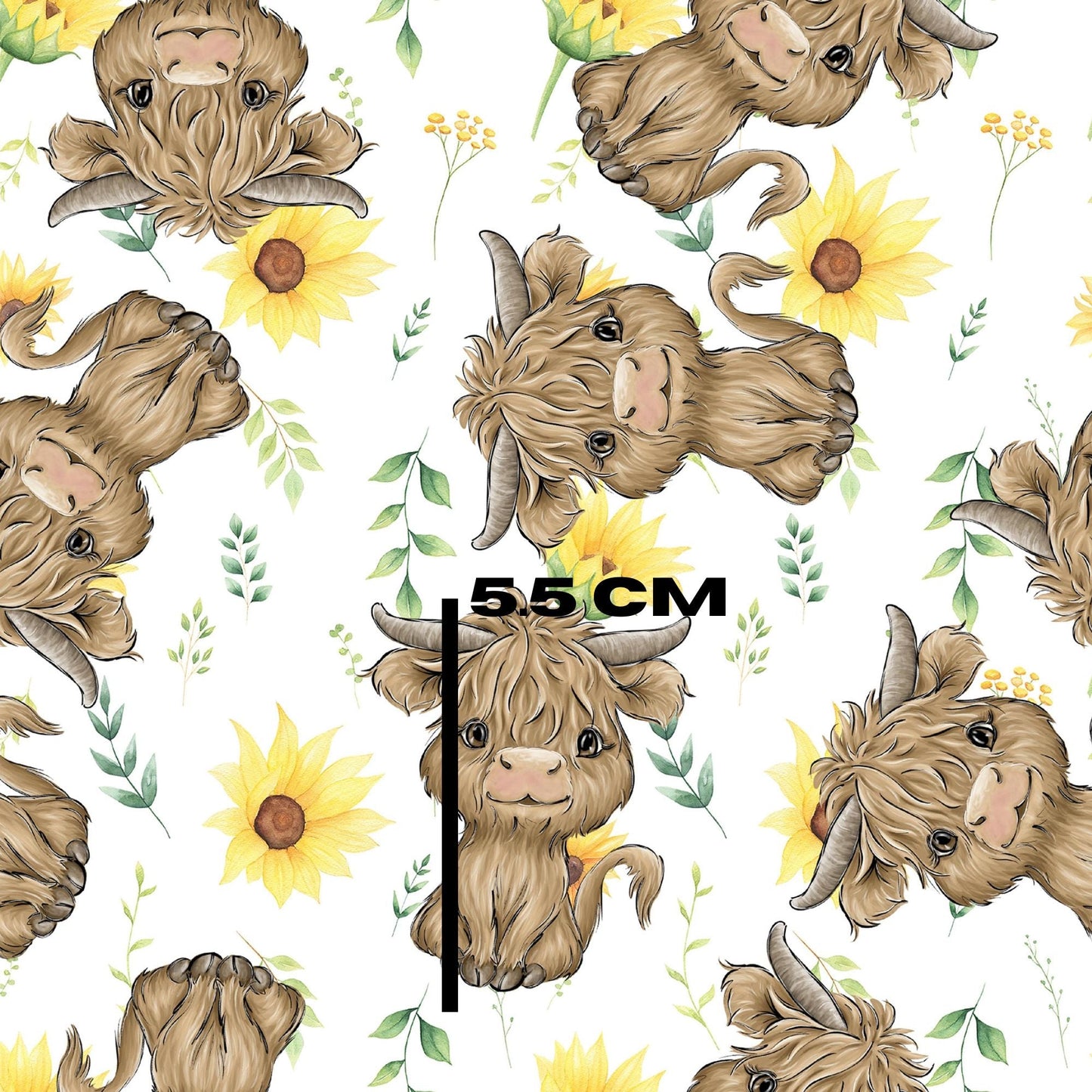 Summer cow sunflower white