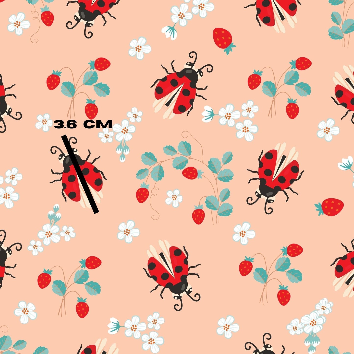 Ladybug