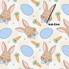 Load image into Gallery viewer, Boy bunny