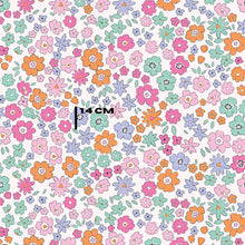 Load image into Gallery viewer, Miranda