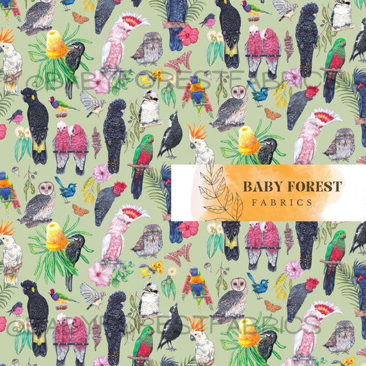 Native explorer birds Green