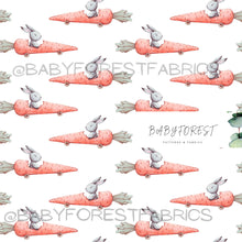 Load image into Gallery viewer, Carrot Race