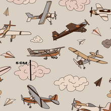 Load image into Gallery viewer, Plane