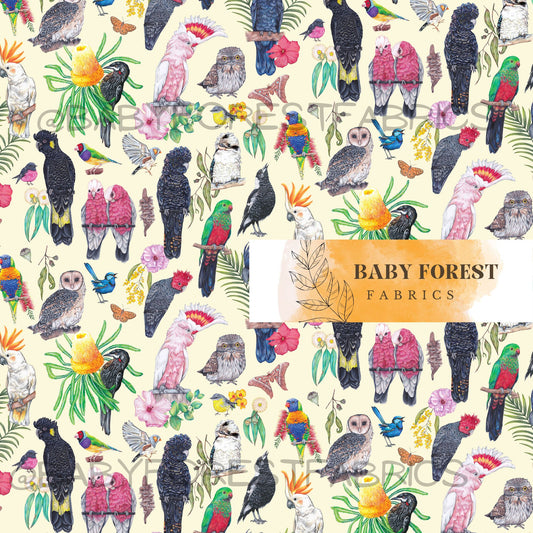 Native explorer birds Yellow