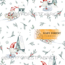 Load image into Gallery viewer, Nome in the snow