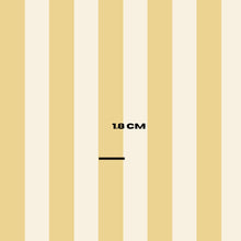 Load image into Gallery viewer, Stripes to match Beach Combi