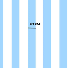 Load image into Gallery viewer, Light blue stripes