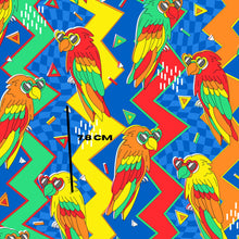 Load image into Gallery viewer, Retro Birds
