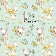 Load image into Gallery viewer, Acacia