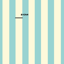Load image into Gallery viewer, Pink white Stripes