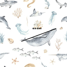 Load image into Gallery viewer, Whale n Friends
