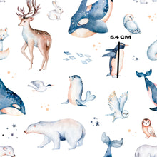Load image into Gallery viewer, Arctic