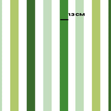 Load image into Gallery viewer, st patricks stripes