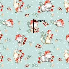 Load image into Gallery viewer, Advent