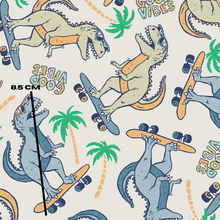 Load image into Gallery viewer, Skate Dino