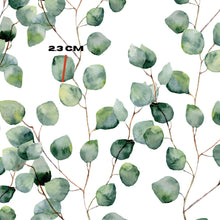 Load image into Gallery viewer, Eucalyptus round leaves
