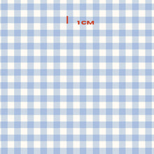 Load image into Gallery viewer, Light Blue Gingham