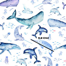 Load image into Gallery viewer, Whale