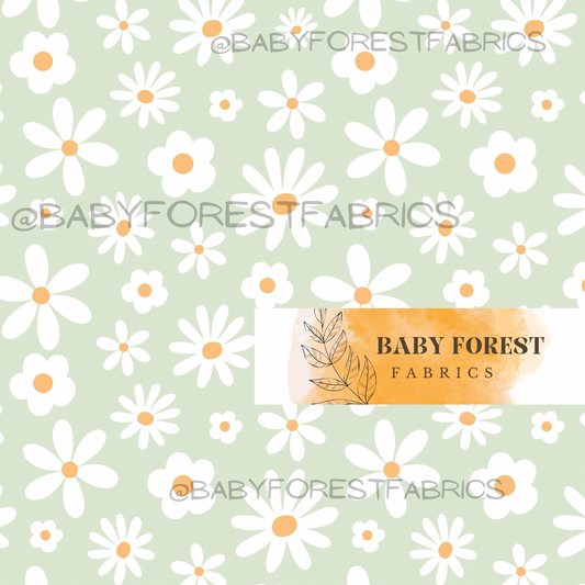 Daisy dream light green