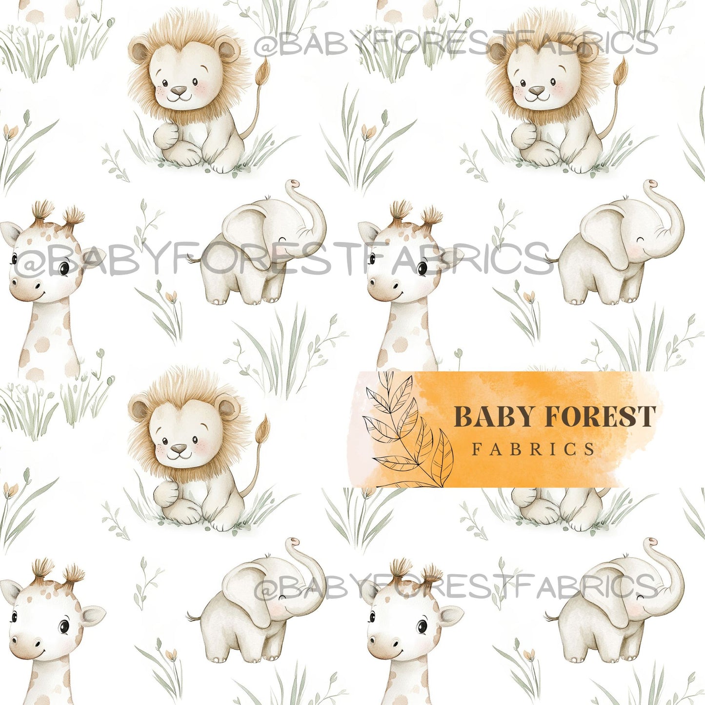 Baby Safari
