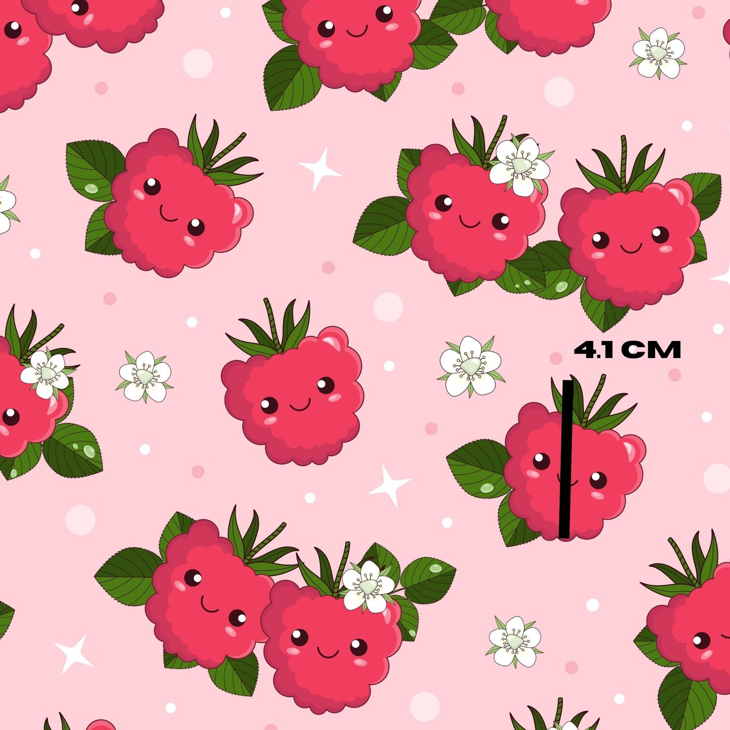 Happy Raspberry