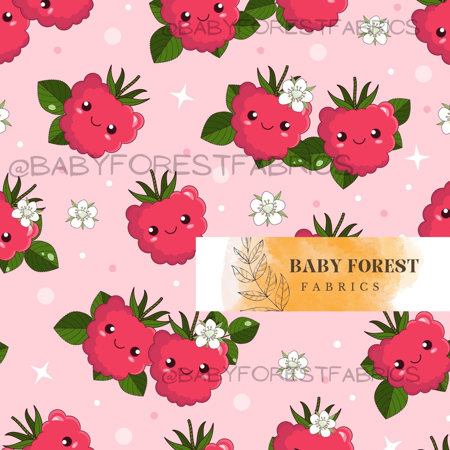 Happy Raspberry