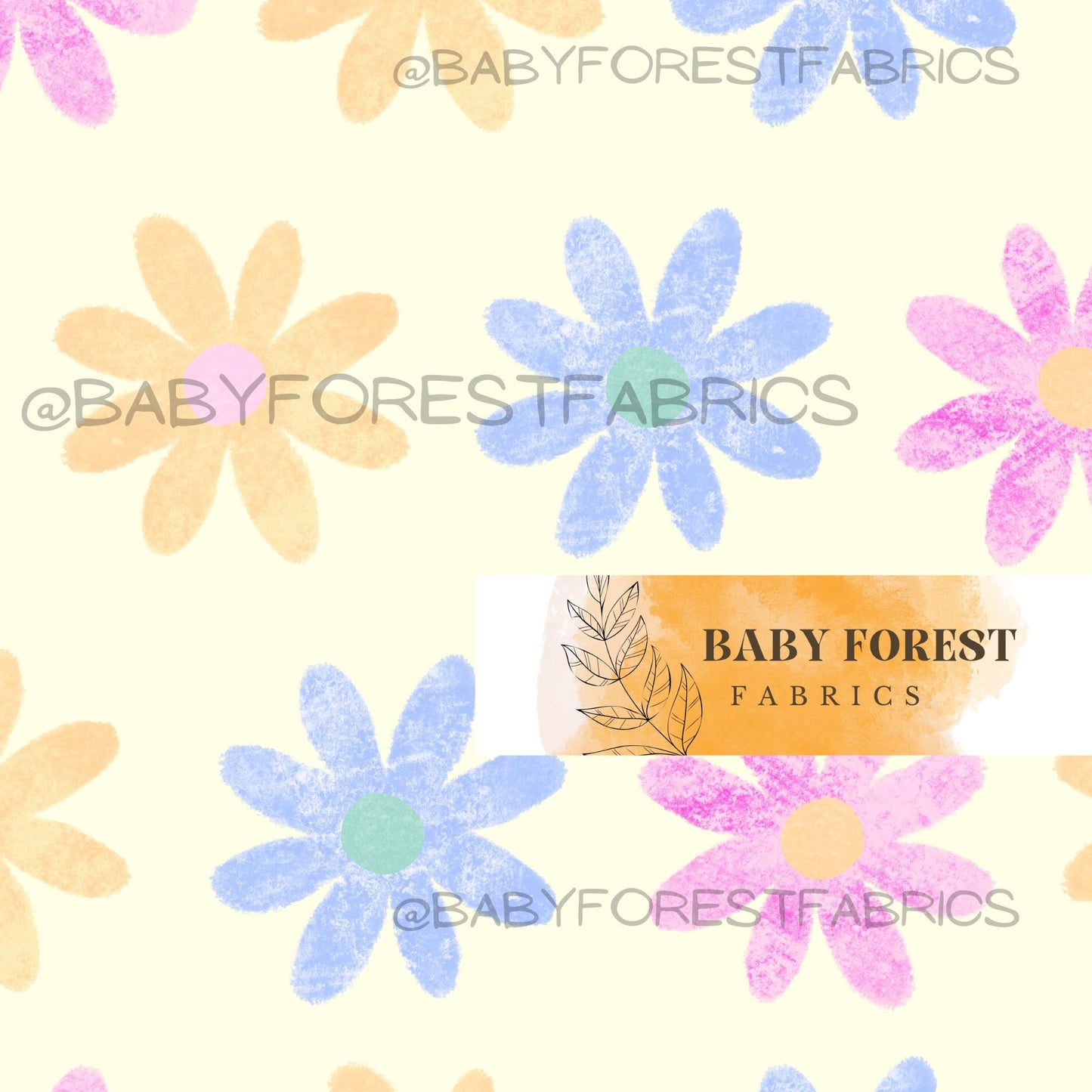 Chalky Multicolor Daisy Flowers