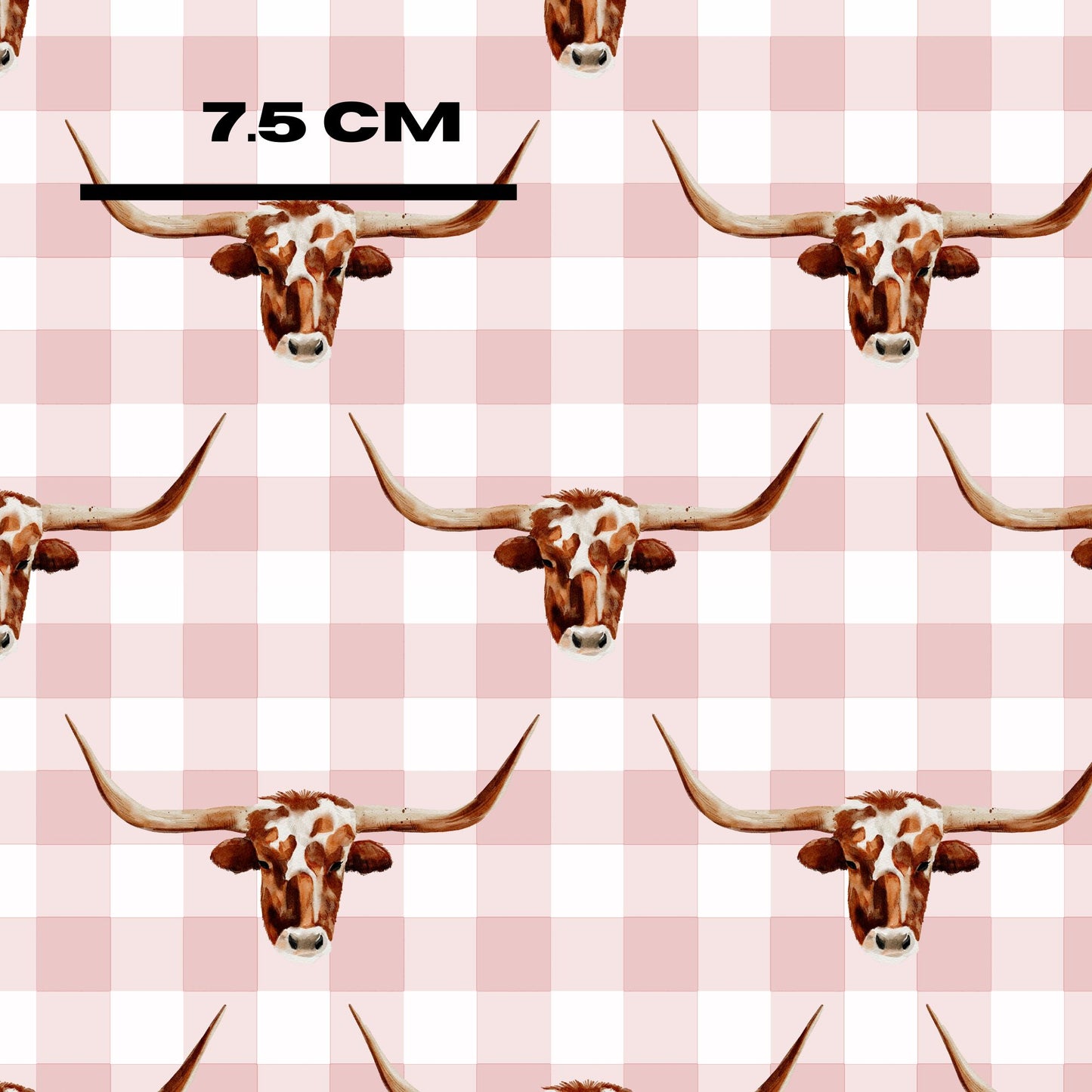 Longhorn On Gingham Rose