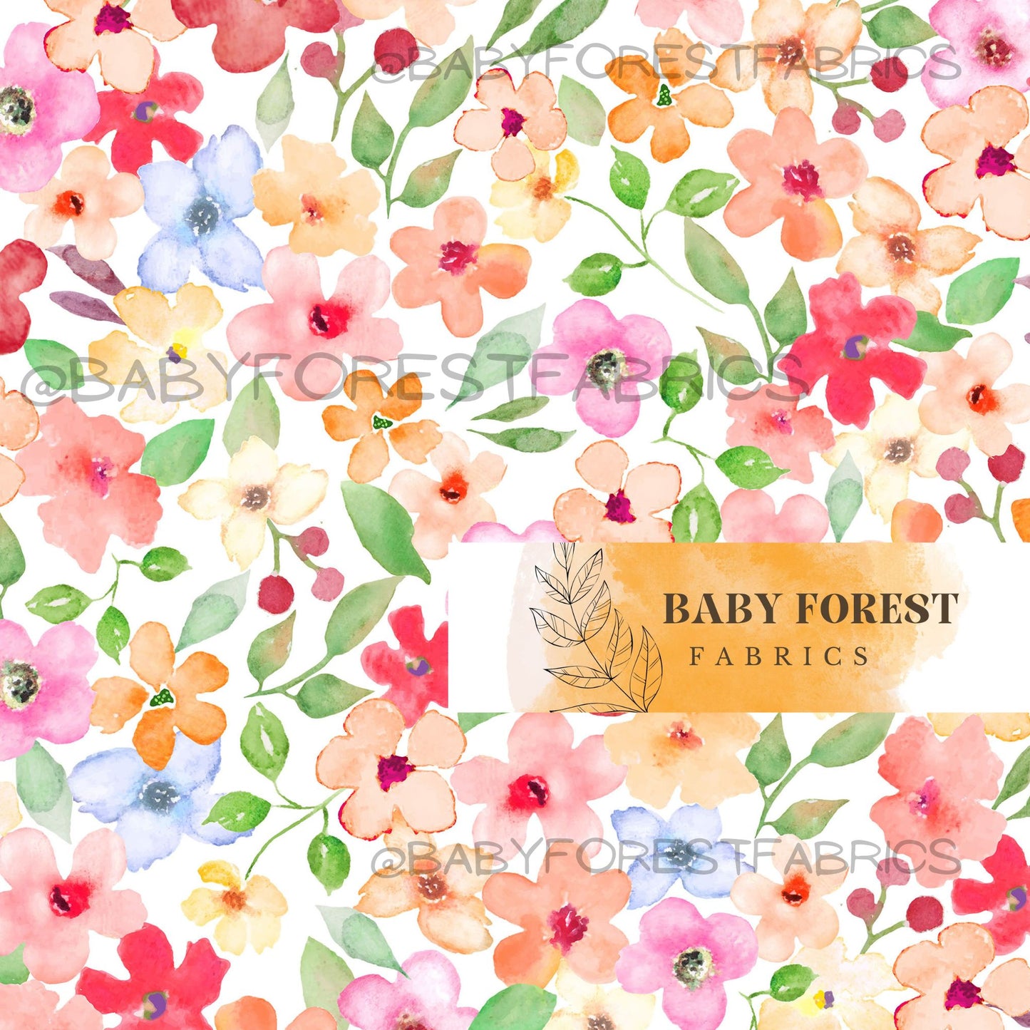 Summer Blossom