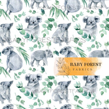 Load image into Gallery viewer, Eucalyptus koala

