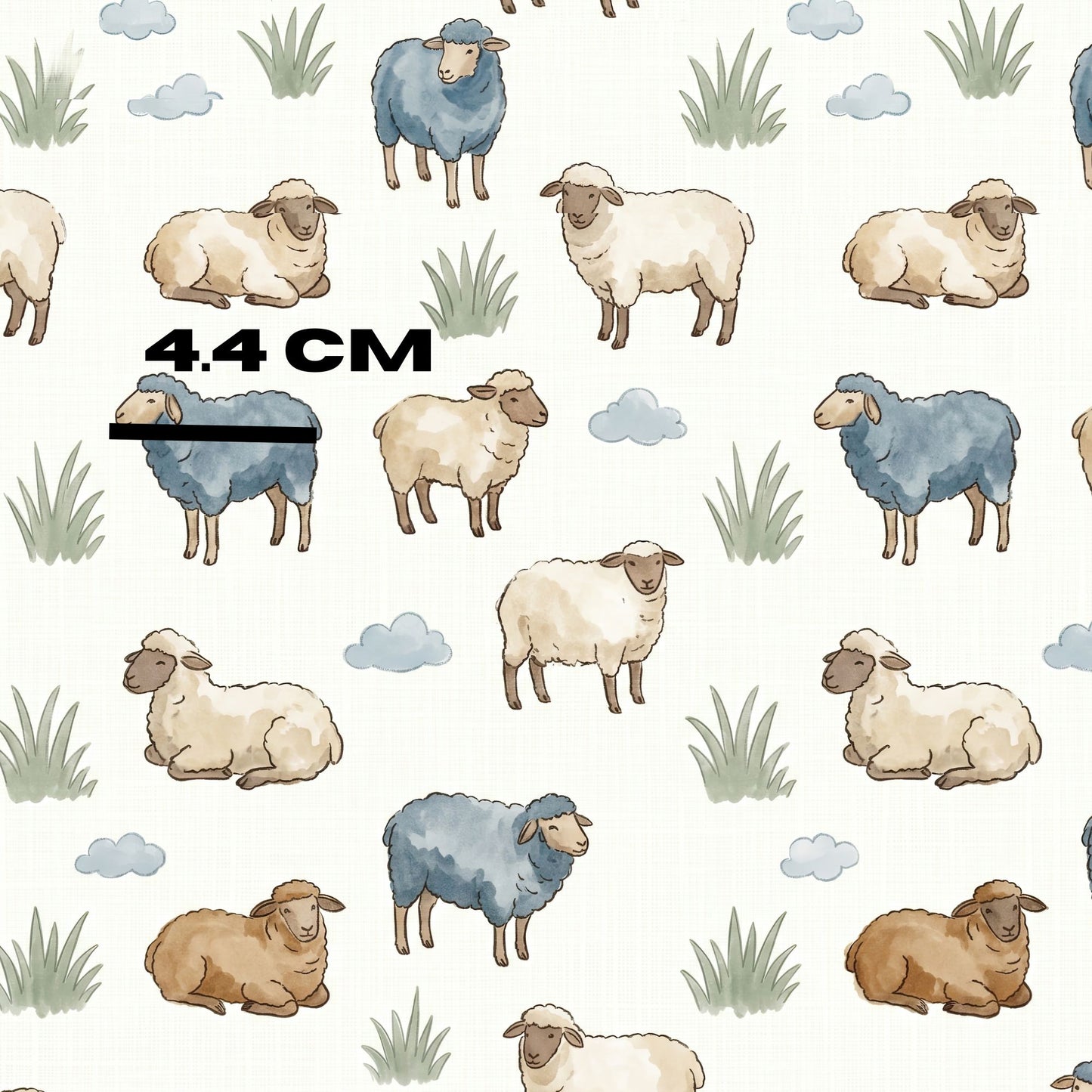 Blue sheep