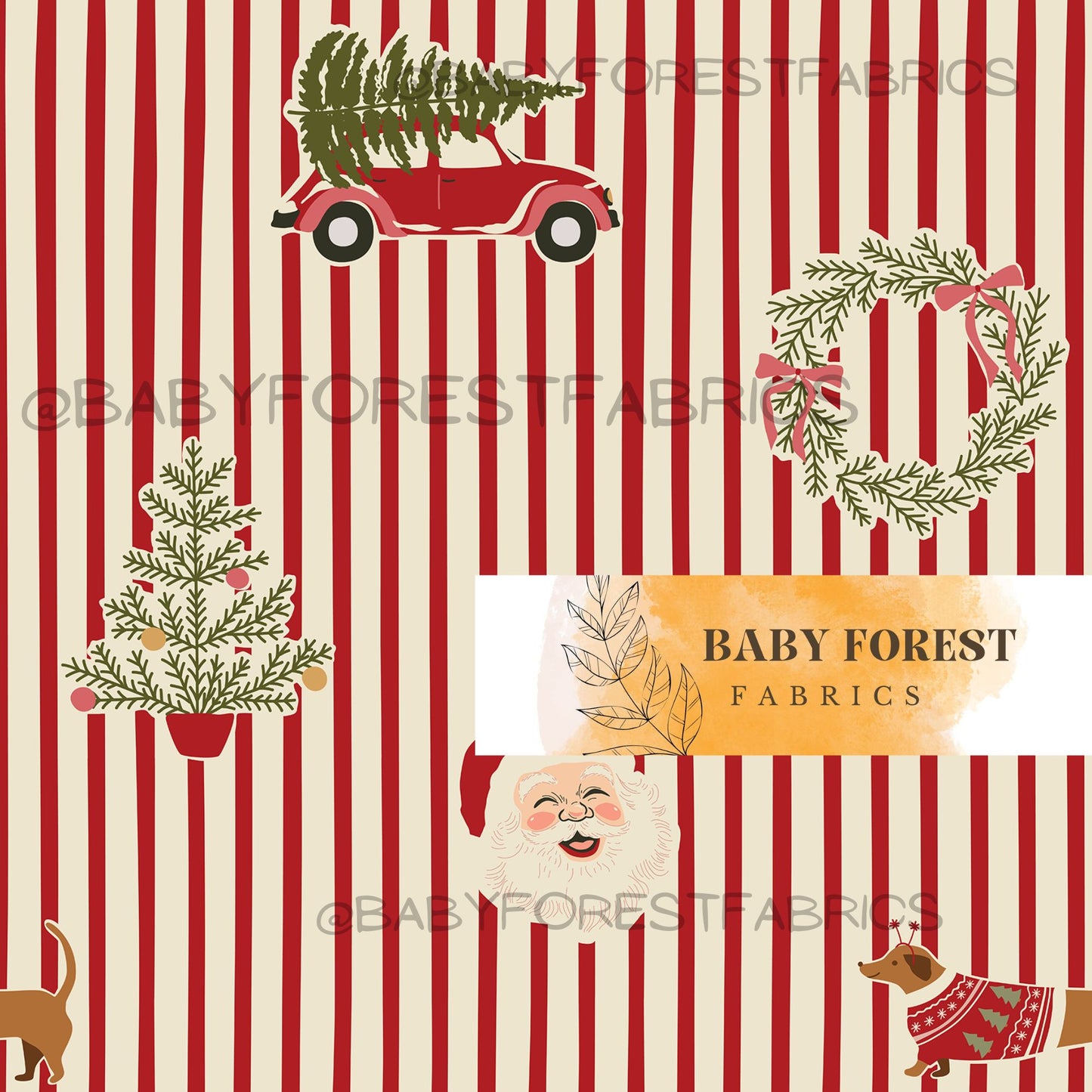 Thin stripe jolly