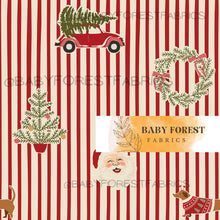 Load image into Gallery viewer, Thin stripe jolly

