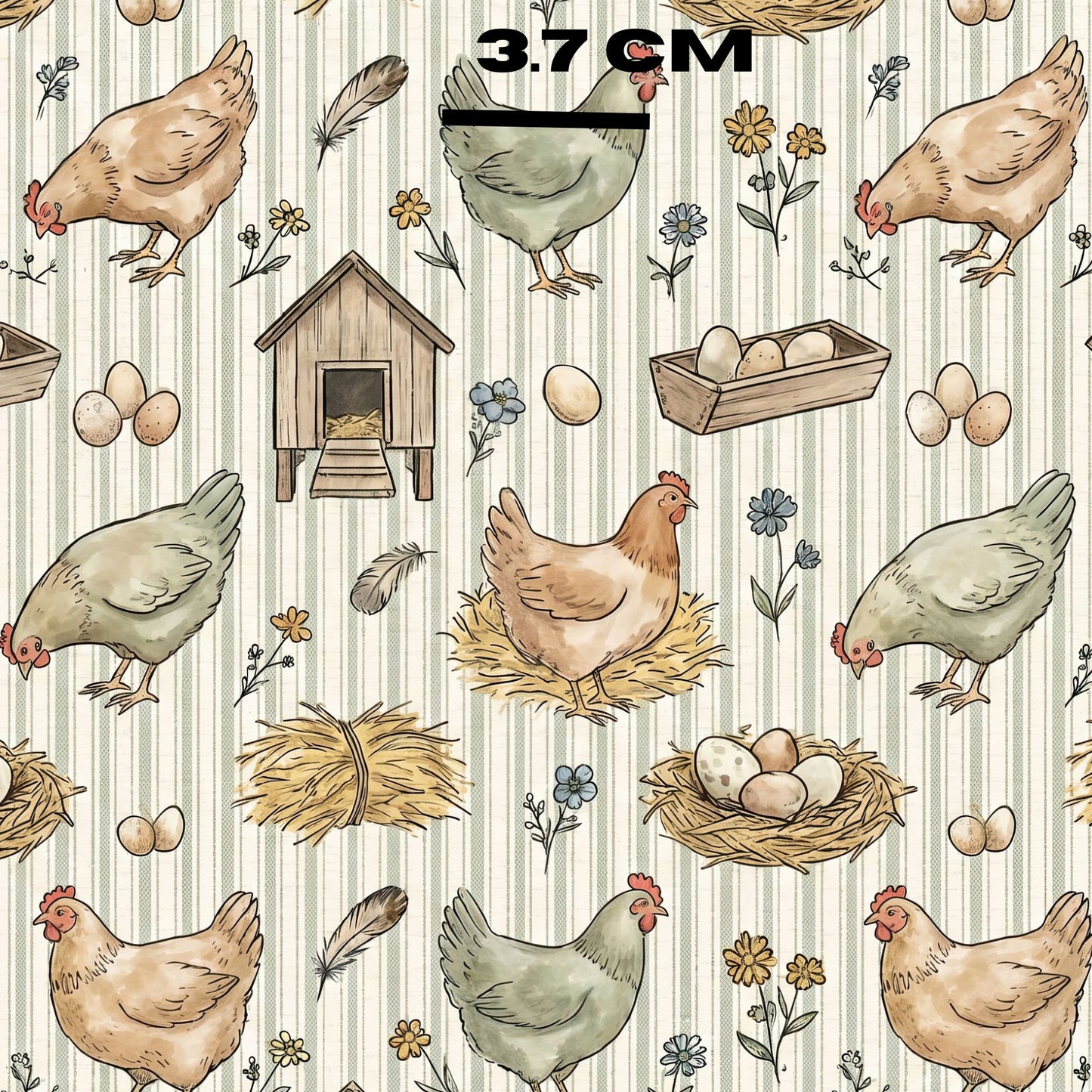 Chicken Coop