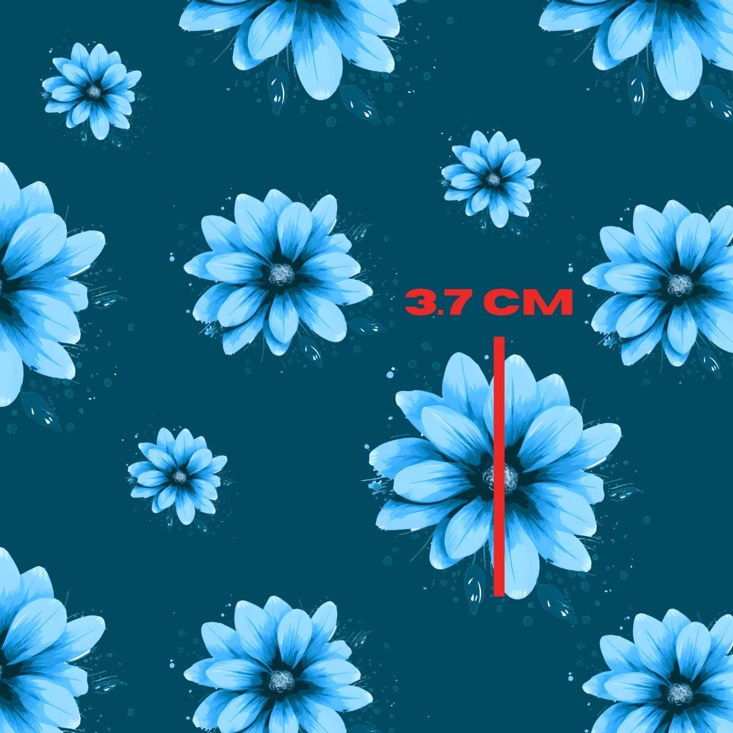Blue Dhalia