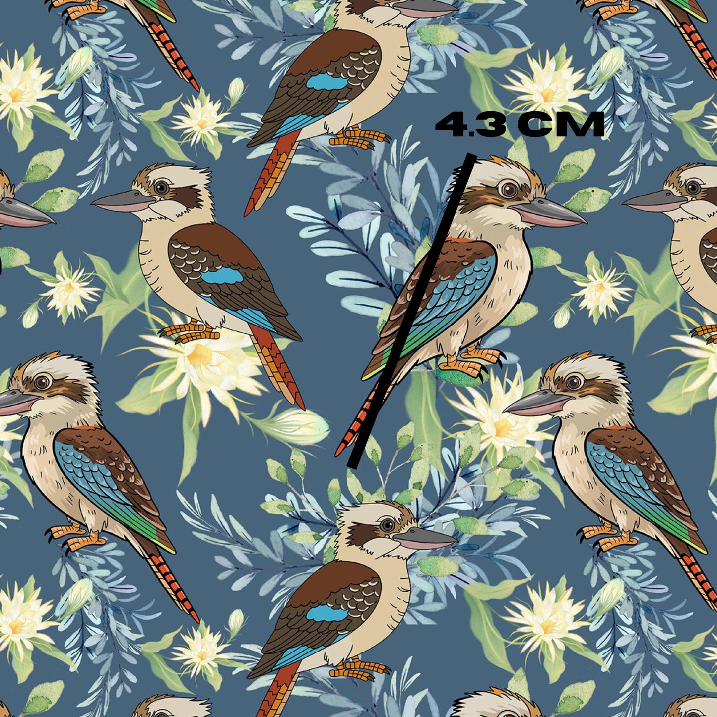 Blue kookaburra