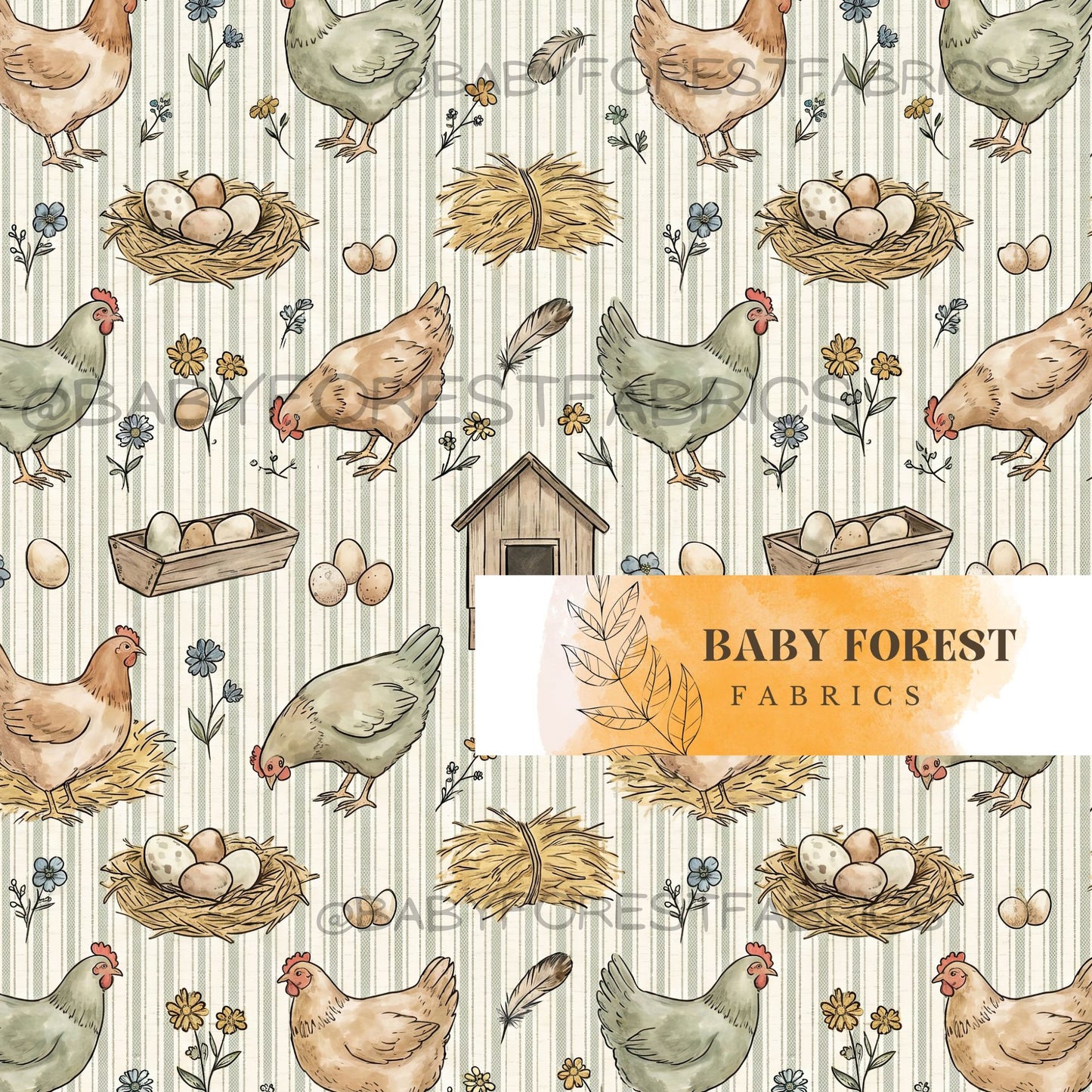 Chicken Coop