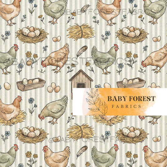 Chicken Coop