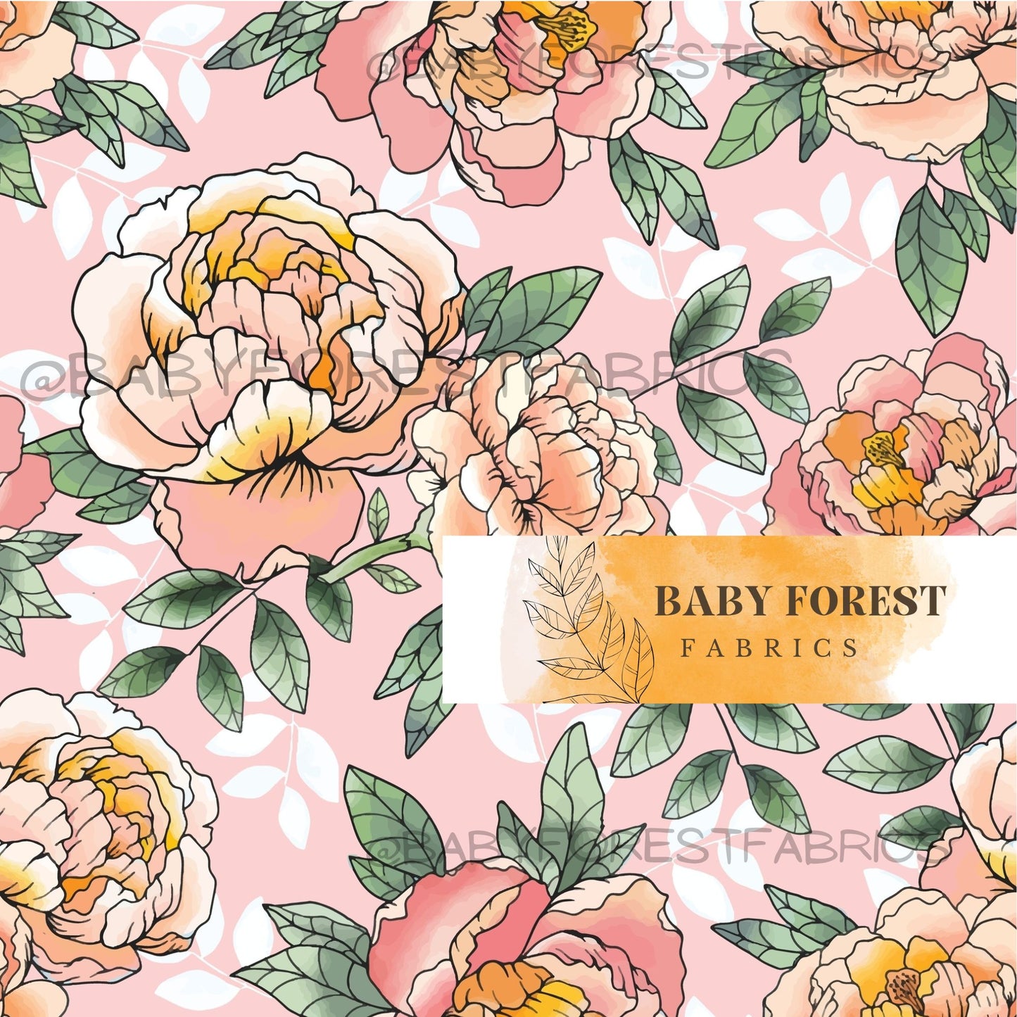 pink and orange peonies