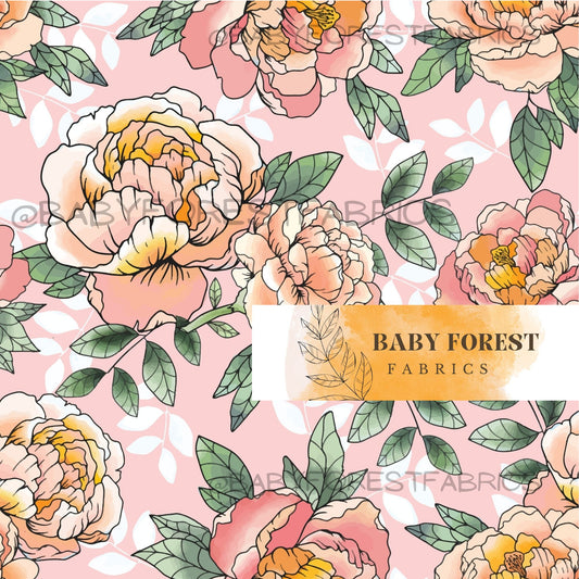 pink and orange peonies